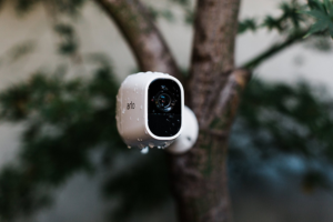 An Arlo camera installed on a tree covered in raindrops.