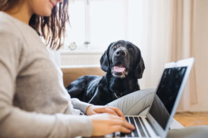 A teenage girl sits on the couch with her laptop and a black lab
