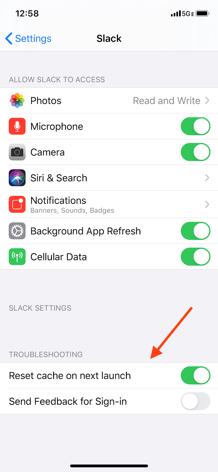 iPhone Cached Data