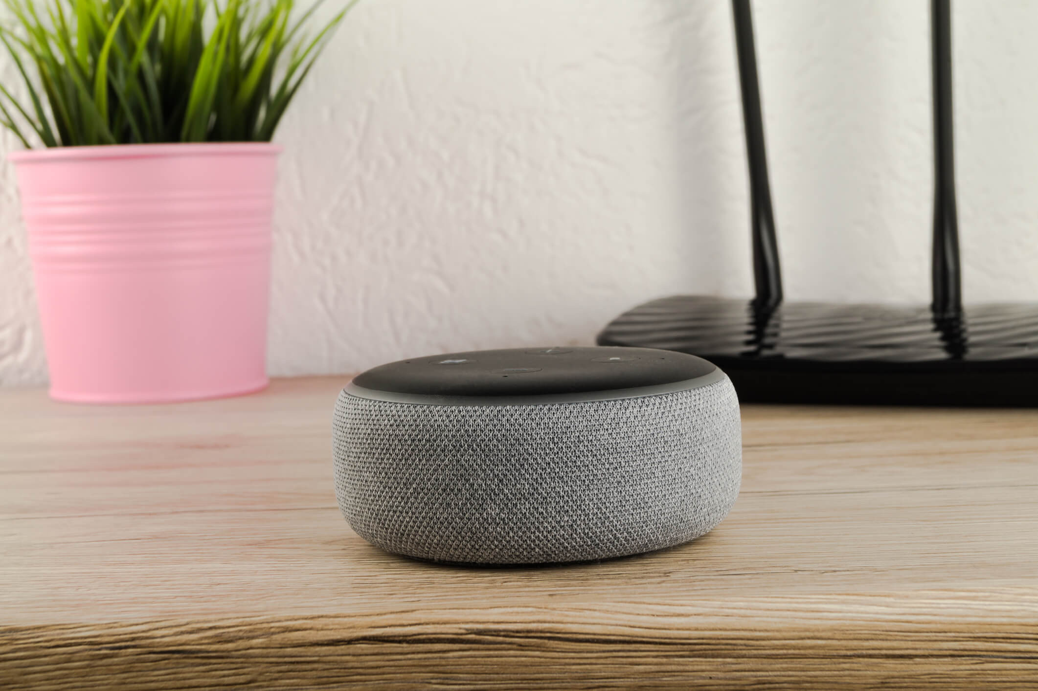 Echo Review: How Does It Measure Up Next to Google Home?