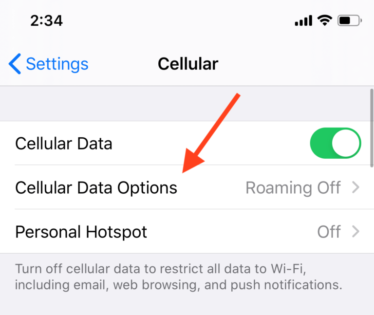 Cellular Data Options
