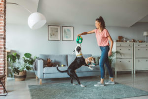 Woman playing with a dog in the living room of a house