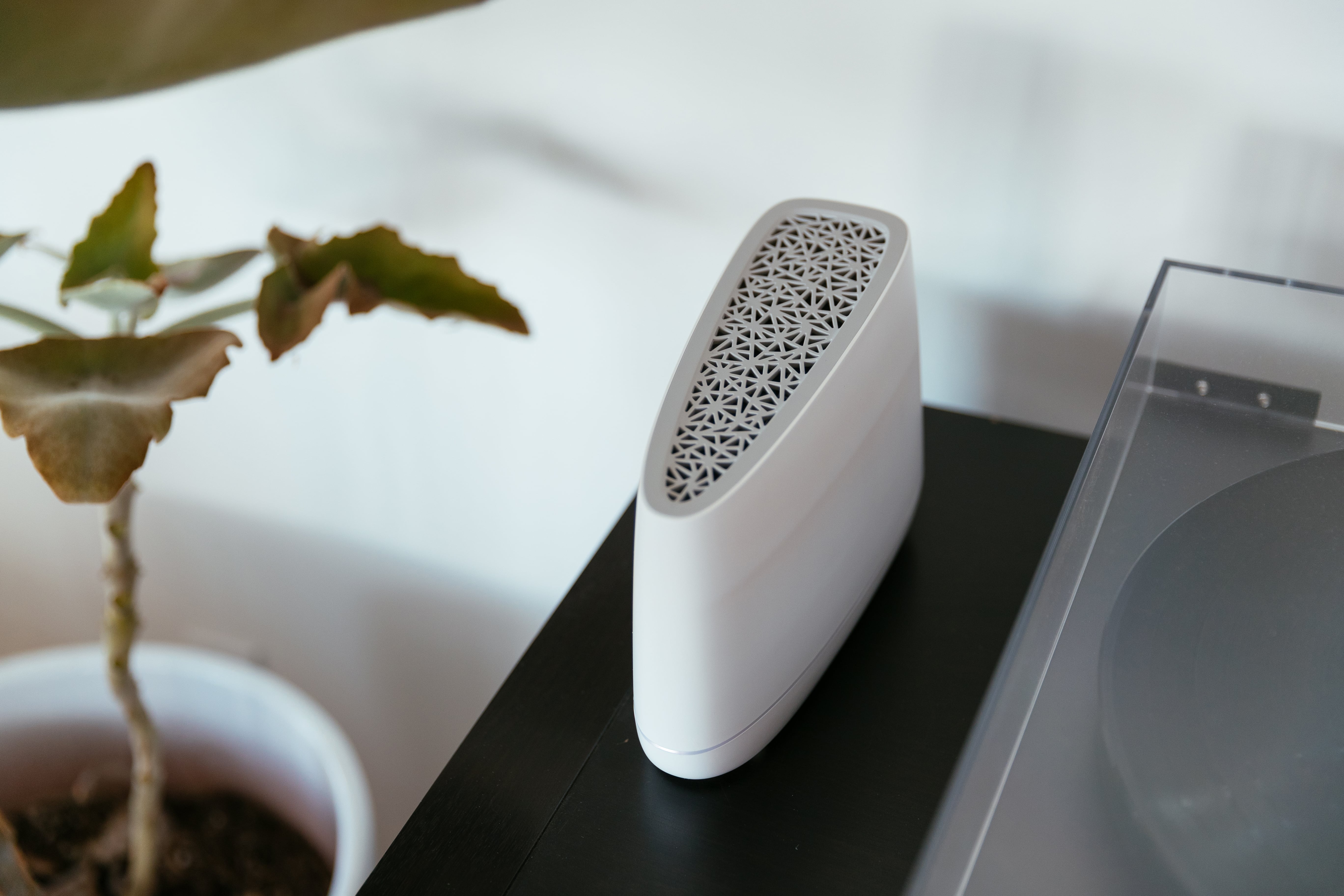 Vivint Smart Drive on a side table by a plant