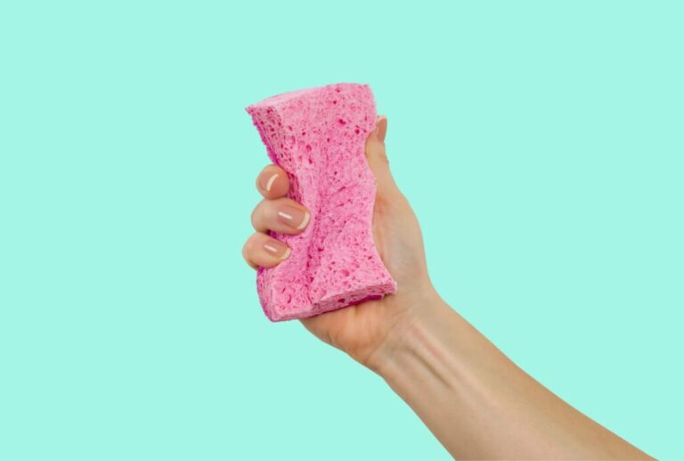 pink sponge