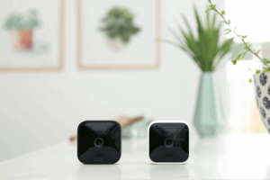Two blink cameras in a house