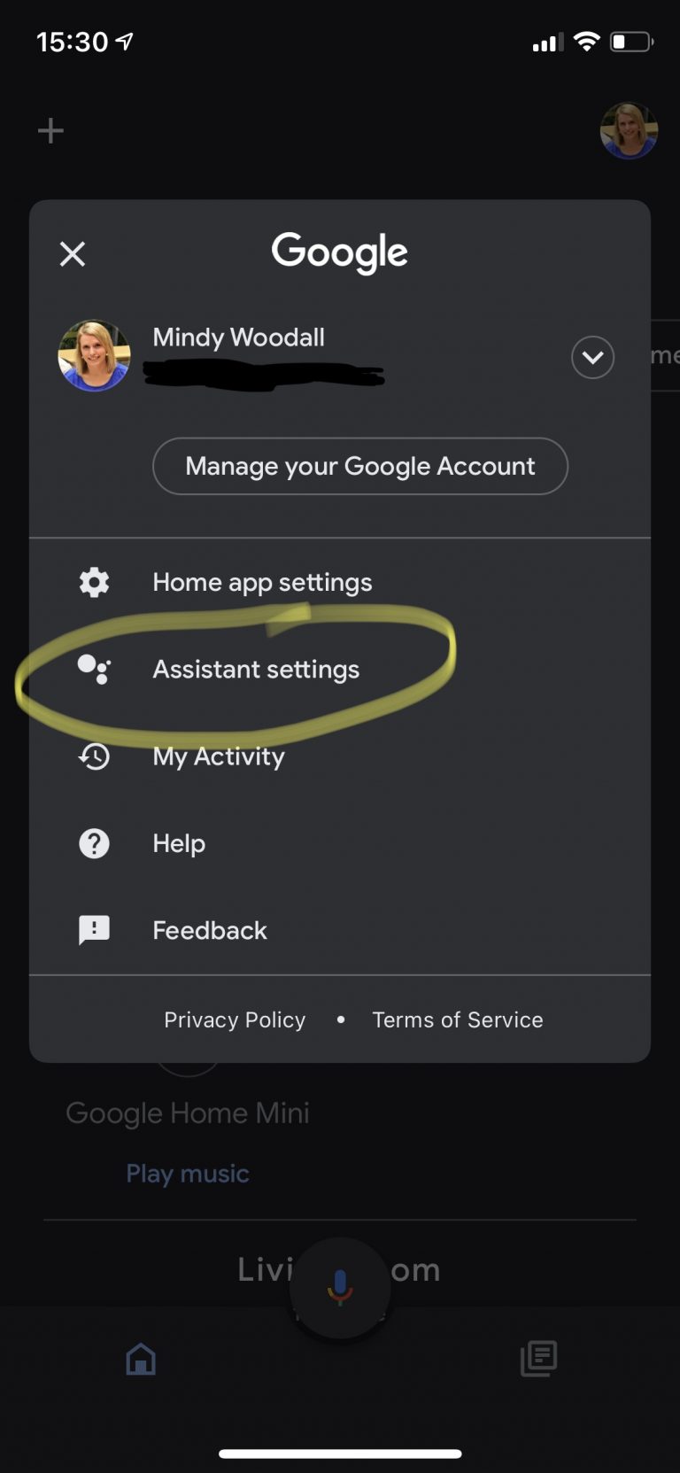 Screenshot of Google Home App with Assistant Settings circled