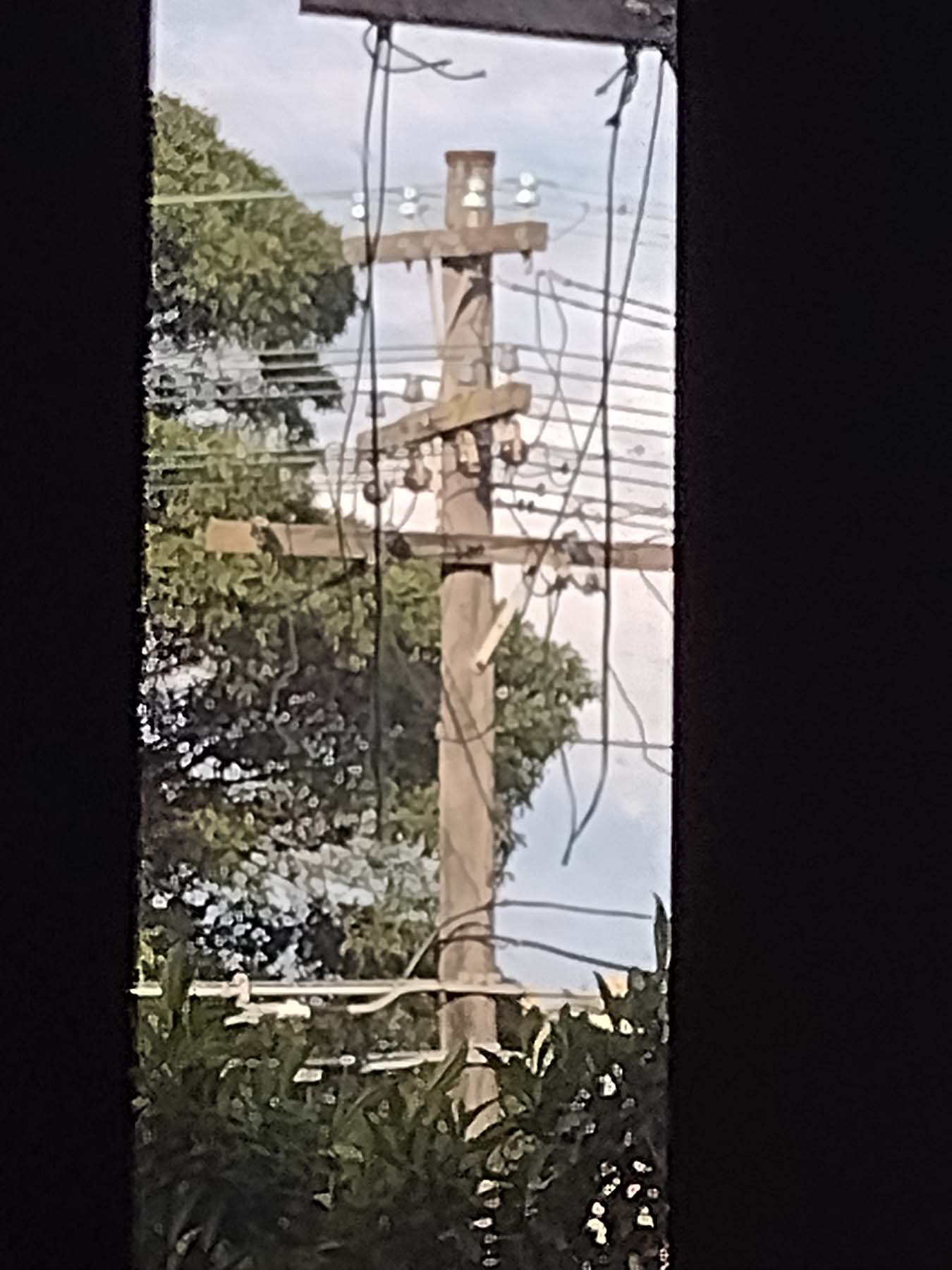 Zoomed in telephone pole