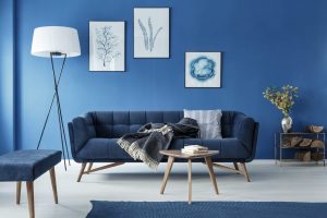 Living room with blue interior
