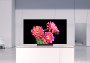 A television displaying a cactus blossoming with pink flowers is sitting on a television stand.