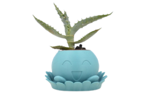 Image of Pokemon Oddish Planter
