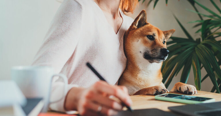 Photograph of a professional woman and her business partner, a beautiful doggy, researching the best mobile plans for their business.