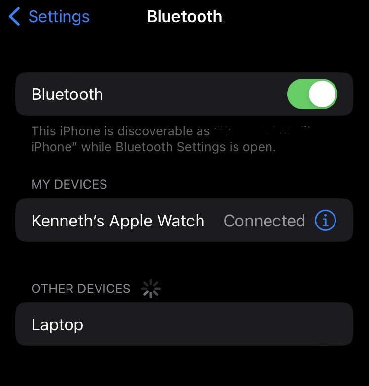 Screenshot of the Bluetooth settings menu for the iPhone