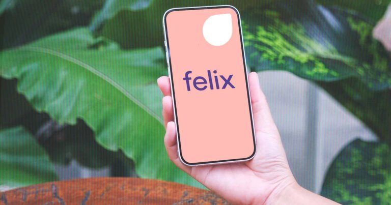 Felix Mobile logo and graphic