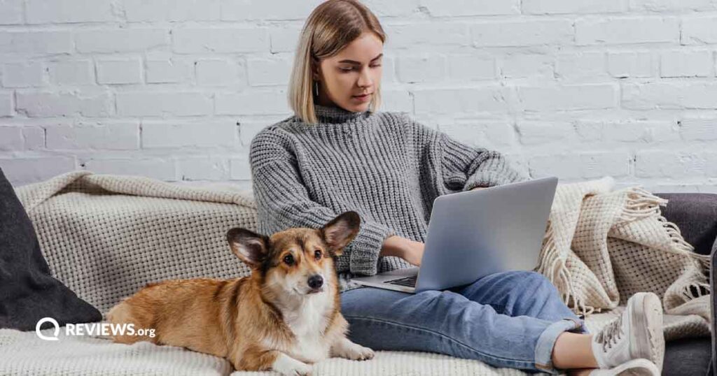 woman sitting on couch next to a dog using laptop