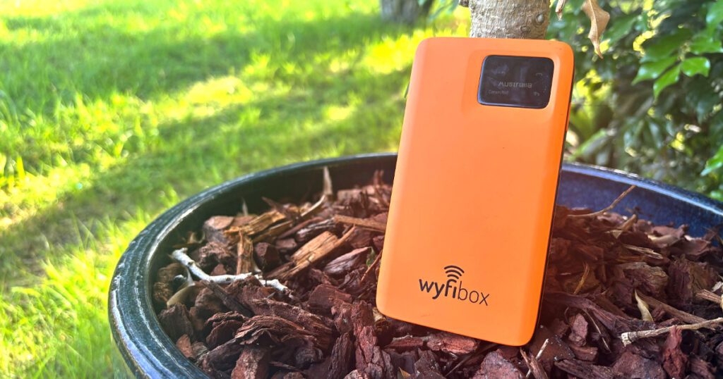 Photograph of the orange Wyfibox sitting in a potplant