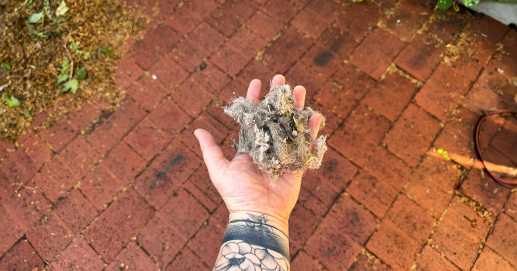 Handful of dust on a background of brick