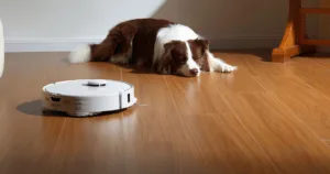 qrevo edgec