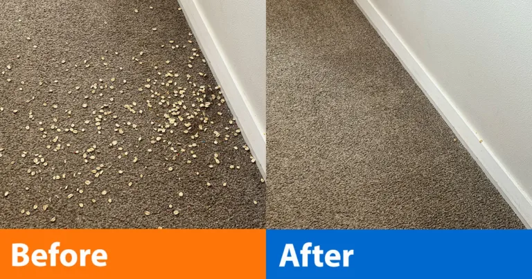Bissell PowerClean FurGuard before and after carpet