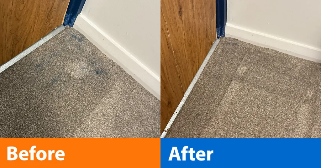 Tineco Carpet One Cruiser results on paint on carpet