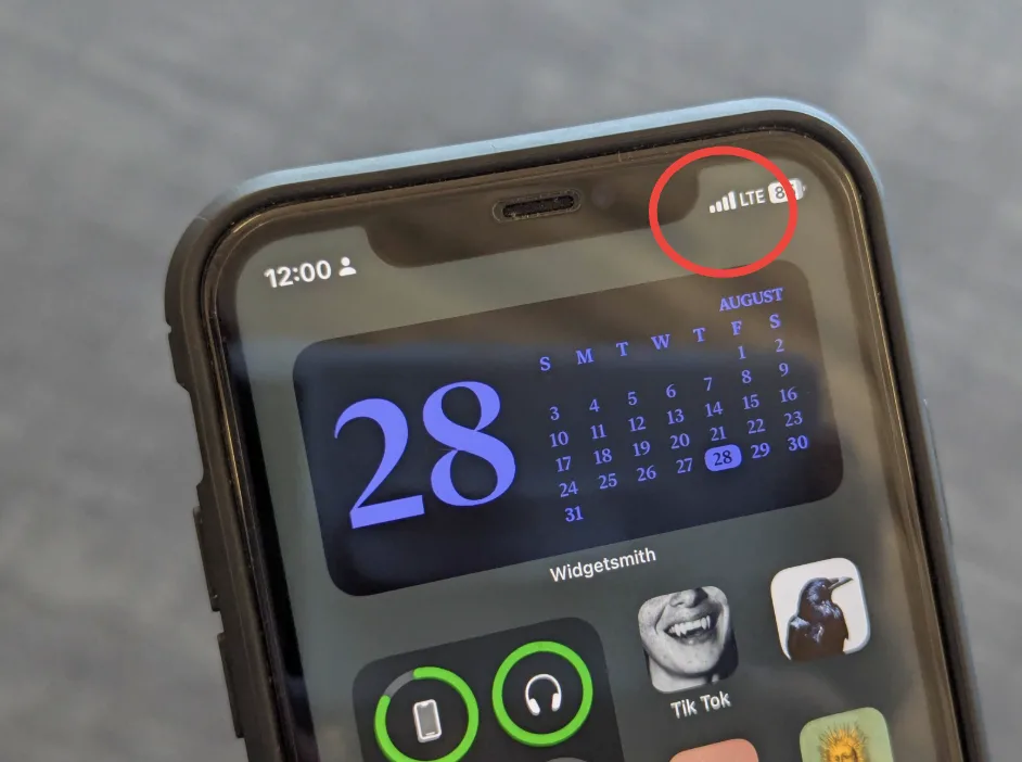 Phone screen with 4G circled in the top right corner