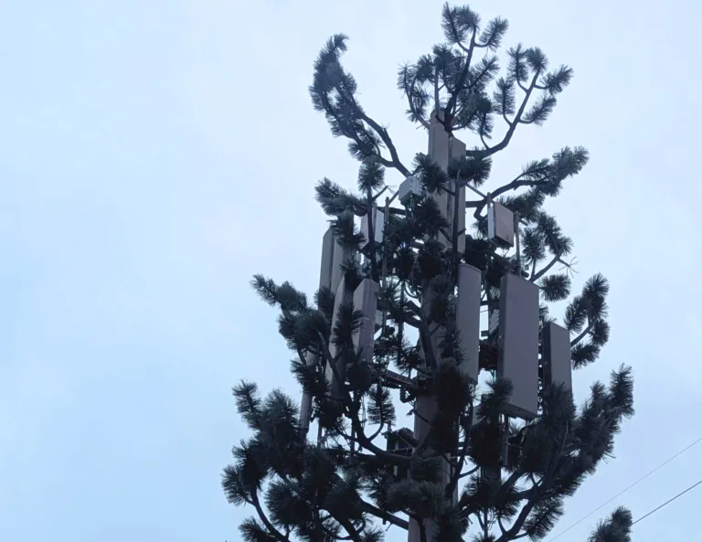 5G tower in camouflage