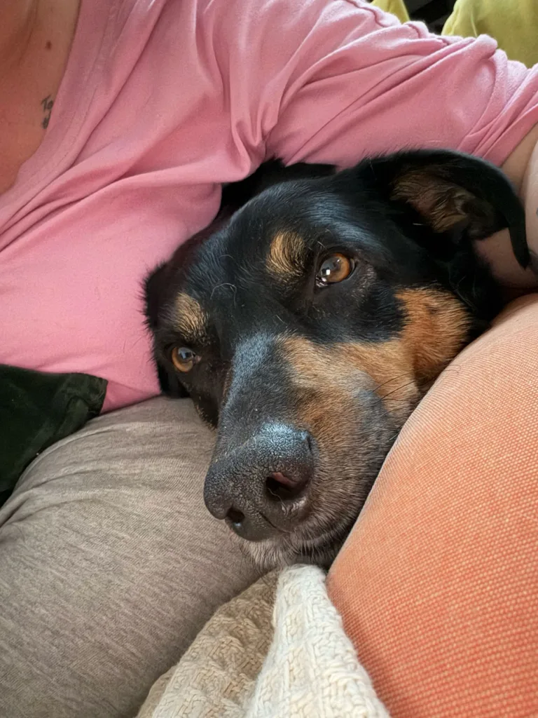 Billie, selfie