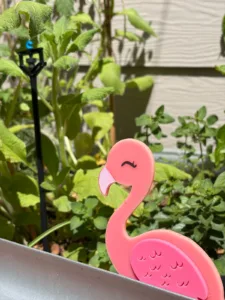 Garden flamingo