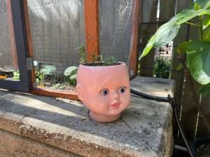 Herb head