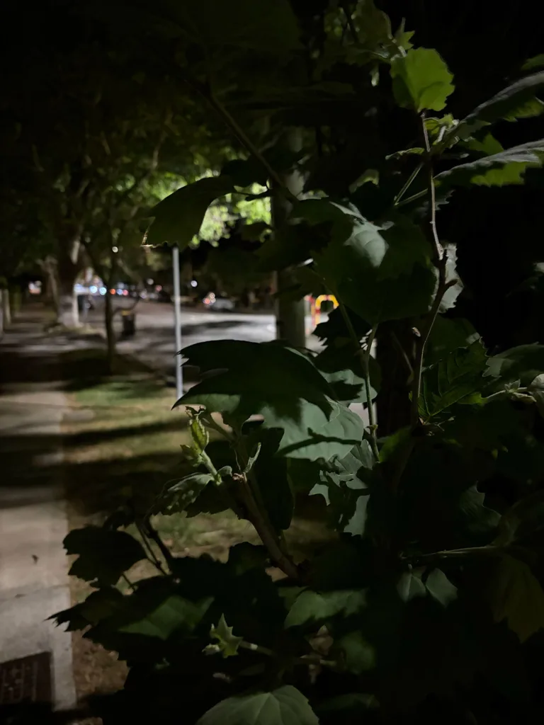 night mode off iphone air