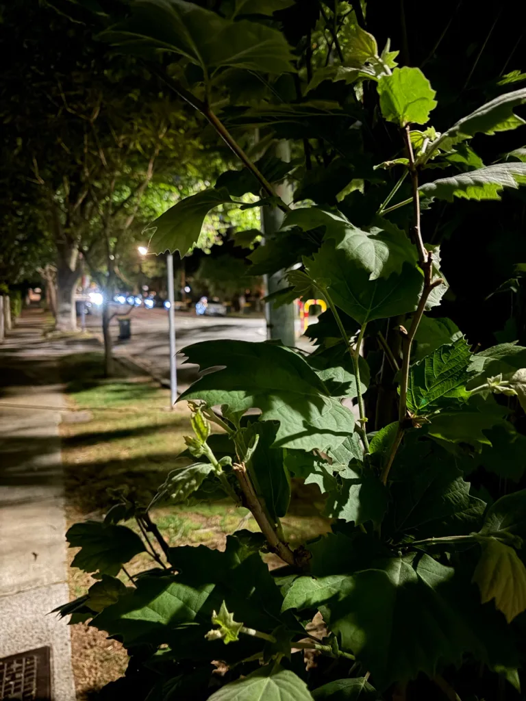 night mode on iphone air