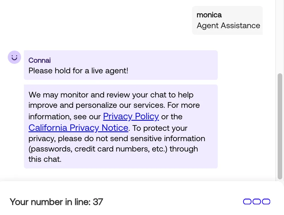 Screenshot of online chat support on Visible’s website
