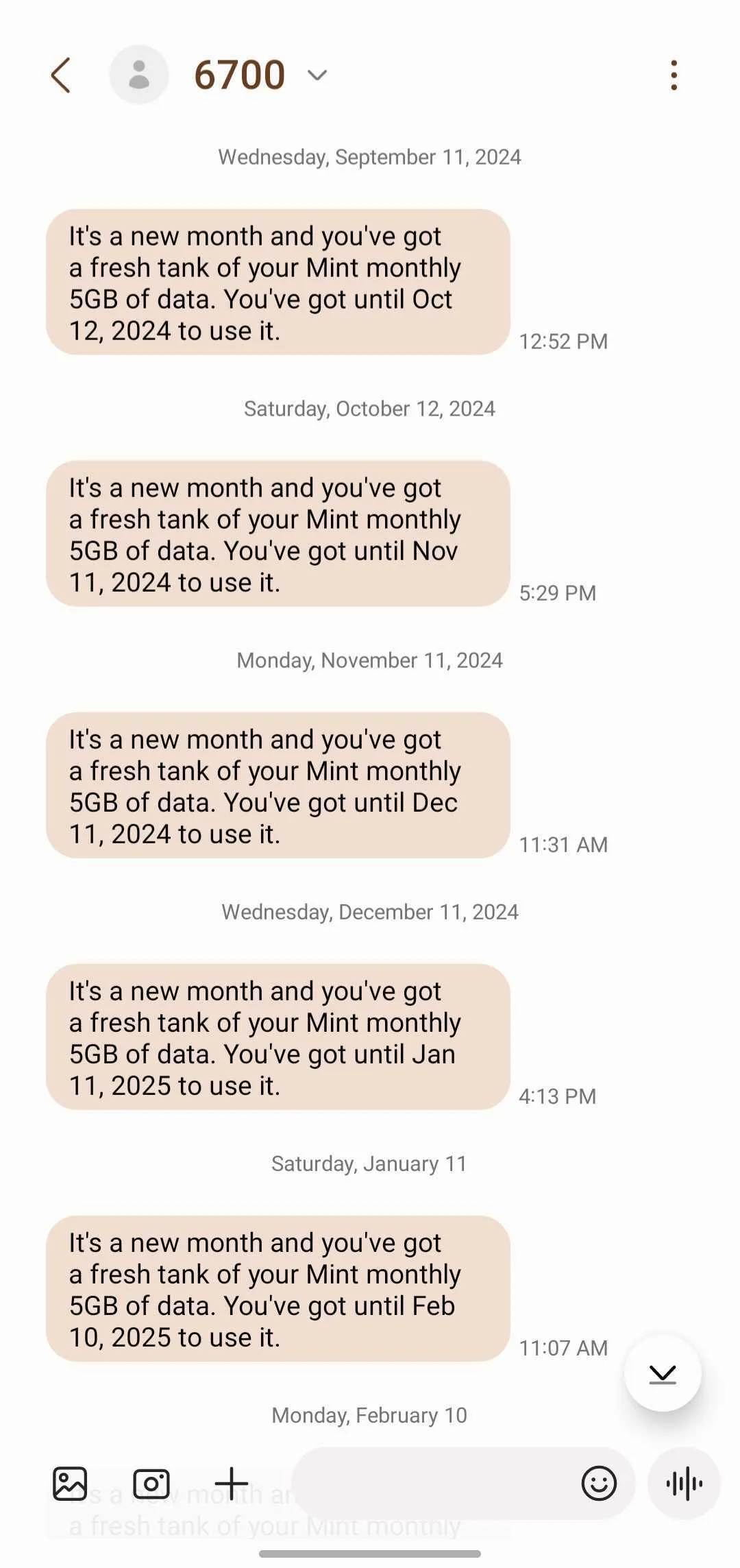 Image of text messages Mint Mobile sends to a customer regarding their data allotment.