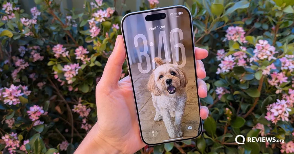 iPhone17DogWallpaper