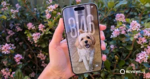 iPhone17DogWallpaper