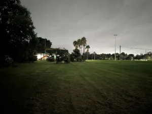 Pixel 10a camera sample photo of a park at night using night mode