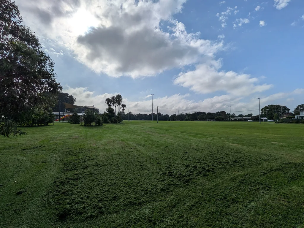 Pixel 10a camera sample photo of a park with half zoom lens