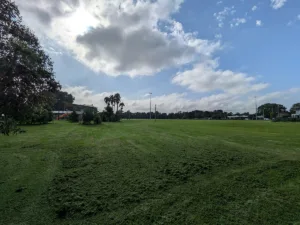 Pixel 10a camera sample photo of a park with half zoom lens