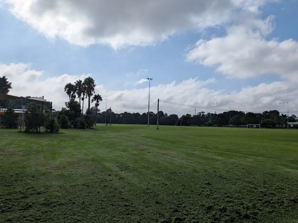 Pixel 10a camera sample photo of a park with standard zoom