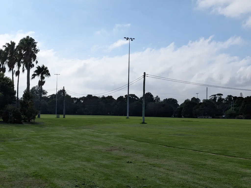 Pixel 10a camera sample photo of a park with 2x zoom lens