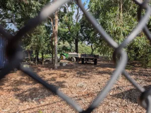 Pixel 10a camera sample photo of a tractor