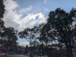 Pixel 10a camera sample photo of