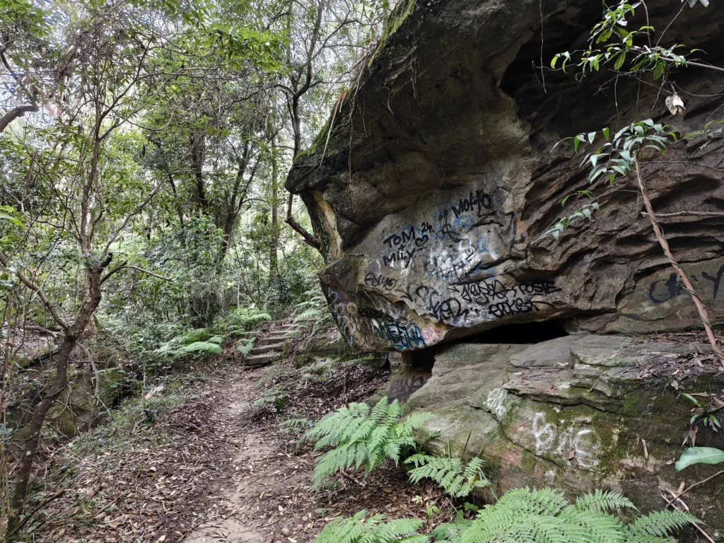 OPPO Find N6 - Photo sample - bush