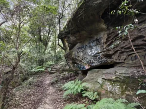 OPPO Find N6 - Photo sample - bush