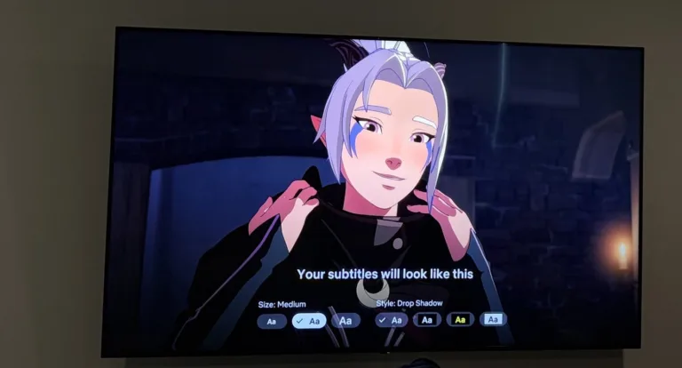 Preview of Netflix subtitle settings menu