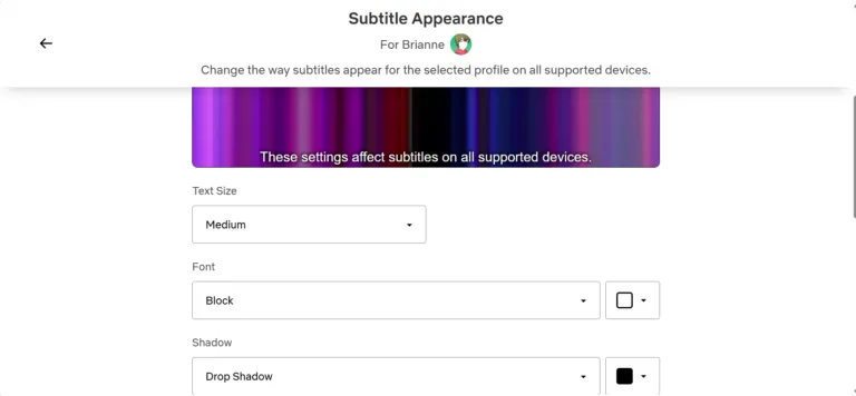 Screenshot of Netflix subtitle settings menu