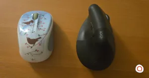 A side-by-side display of a Logitech M325 Wireless and a Lift Vertical Ergonomic mouse. The M325 has a blue design that is decorated with birds on a branch. The Lift Vertical has a graphite color.